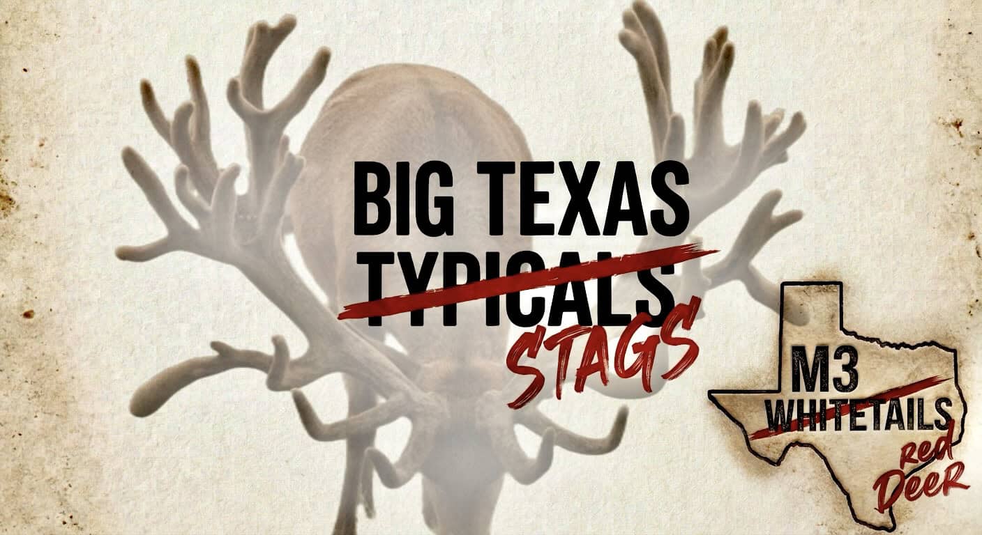 Deer Breeder In Texas Red Deer For Sale
