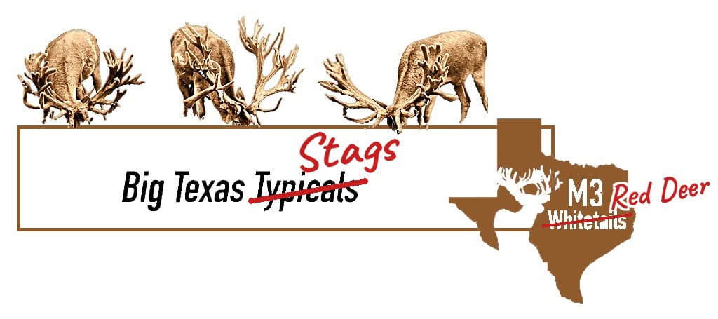 Deer Breeder In Texas Whitetail Deer For Sale